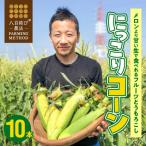 ショッピングとうもろこし ふるさと納税 碧南市 【2024年発送】 メロンより甘い 生とうもろこし“にっこりコーン” 10本　H095-026