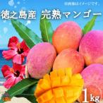 ふるさと納税 徳之島町 ≪先行受付≫てぃだ(太陽)を浴びて育った徳之島産完熟マンゴー(1kg)