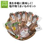 ふるさと納税 南九州市 魚を手軽に美味しく!塩干物うまいものセット