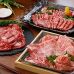 【枕崎市 ふるさと納税】定期便(24回)毎月2回の配送「プレミアム定期便」A5等級黒毛和牛etc