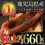 ふるさと納税 曽於市 鹿児島県産うなぎ蒲焼きざみセット<極上>(約160〜236g×3尾・きざみ50g×2袋) タレ・
