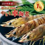 fu.... налог небо . город [ указанный день необходимо ].. машина море .[... машина море .]1kg( предшествующий прием )_S010-008