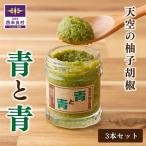 ふるさと納税 西米良村 【ふるさと納税】R7新物登場!! 天空の柚子胡椒(ゆずこしょう)「青と青」35g入り×3本セット 　