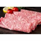 佐賀市 ふるさと納税 【12回定期便】佐賀牛毎月お届け計16.9kg
