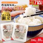 訳あり パックごはん コシヒカリ 米 40食