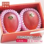 ショッピングふるさと納税 マンゴー ふるさと納税 西都市 宮崎完熟マンゴー2玉「川崎農園」西都市産生産者直送【先行受付】[3069]