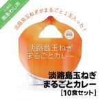 ふるさと納税 南あわじ市 淡路島玉ねぎまるごとカレー10食セット