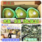 ふるさと納税 上山市 西洋梨(ラ・フランス)大玉3玉　贈答品　0102-2402