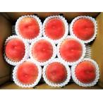 ふるさと納税 上山市 山形の旬の硬い桃(品種おまかせ)3kg 0017-2506