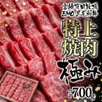 ふるさと納税 西都市 黒毛和牛 特上焼肉セット700g　宮崎EMO　牛肉[2397]