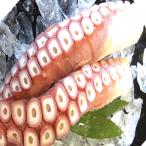 fu.... налог корень . город <12/21 до год внутри рассылка >*. sashimi для .. пара 2 шт ( итого 2~2.5kg) C-70068