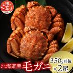 ふるさと納税 根室市 浜ゆで毛がに350g前後×2尾 A-21001