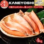 ふるさと納税 根室市 とろサーモンハラミ4kg B-09013