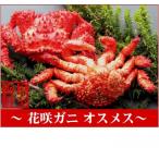 ふるさと納税 根室市 【北海道根室産】花咲ガニオスメス各1尾(計1kg前後) A-57008
