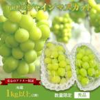 ふるさと納税 長井市 【R6年9月〜10