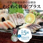 fu.... налог небо . город . тяпка . sashimi комплект плюс _S059-009A