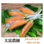 自家製マンゴースティックアイス 60g×5本