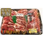ふるさと納税 錦江町 黒豚焼肉セット (No.1222-1)