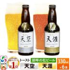 全国酒類コンクール第 地ビール詰め合わせセット 2種