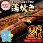 ふるさと納税 肝付町 <父の日用/先行受付> 備長炭焼き「黒匠うなぎ」(有頭)大2尾 タレ付　A39003