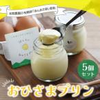 おひさまプリン5個セット H073108