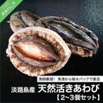 記事番号:33075/アイテムID:44050の画像