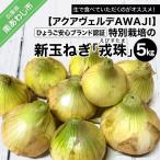 fu.... налог юг ... город [ новый шар лук порей ].... безопасность бренд засвидетельствование специальный культивирование. шар лук порей [..(... Tama )] 5kg