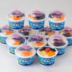 ふるさと納税 南九州市 南国白くま12個セット