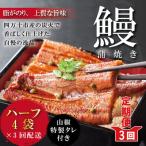 ショッピングふるさと納税 うなぎ ふるさと納税 四万十市 【3回定期便】<四万十食品>うなぎ蒲焼　ハーフ4袋/BC【連続3回お届け】