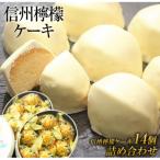 ふるさと納税 東御市 御菓子処花岡 檸檬ケーキ14個