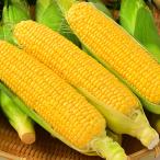 fu.... tax . front block [. peace 6 year production preceding acceptance ] Hokkaido .... production sweet corn 7ps.@( Hokkaido production corn .. millet refrigeration )