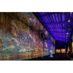 太陽の森ディマシオ美術館 入館招待券 往復ハイヤー付