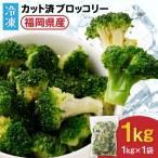 JAむなかたブロッコリー部会より 冷凍ブロッコリー1kg