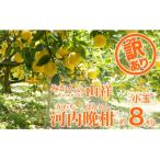 ふるさと納税 愛南町 �