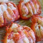 ふるさと納税 釧路市 花咲甲羅盛りセット65g×4 ふるさと納税 かに 蟹 F4F-0685