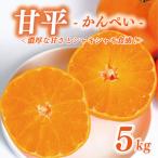 ショッピング甘平 ふるさと納税 愛南町 数量限定 先行予約 甘平 5kg かんぺい みかん JA 農協 愛南町 愛媛県