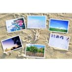 アイテムID:30329の画像1枚目