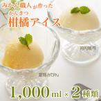 ふるさと納税 愛南町 みかん職人が作った柑橘アイス1000ml×2種(愛媛みかん・河内晩柑)