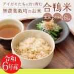 ふるさと納税 高原町 令和6年産 高原町産 無農薬合鴨米(玄米)5kg TF424