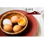 fu.... налог Kyoto city [ безопасность * безопасный Kyoto. яйцо ] столица земля шар клен 30 штук входит &lt; Kyoto запад рисовое поле . курица место &gt;