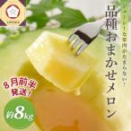 ふるさと納税 五所川原市 【2025年8月前半発送】青森のメロン約8kg青肉4〜6玉秀〜優