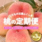 ショッピングふるさと納税 桃 ふるさと納税 福島市 【2024年発送分】ふくしまの桃 約3kg 【定期便3回】No.2026