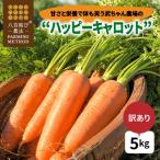 fu.... налог . юг город [ еда Roth снижение ]... питание . body . смех .. Chan сельское хозяйство место. * happy Carrot ~ 5kg H095-022