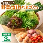 宗像とれたて 野菜とたまごの定期便 _HB0081