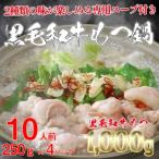 ふるさと納税 境町  黒毛和牛もつ鍋セット  黒毛和牛もつ 1000g(250g × 4パック)