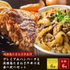 ふるさと納税 淡路市 プレミアムハンバーグとたまねぎ牛丼 食べ比べセット