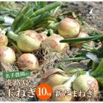 ふるさと納税 淡路市 【新たまねぎ】名手農園の淡路島特産玉ねぎ10kg【発送時期:2024年3月〜5月頃】