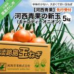 ショッピングふるさと納税 玉ねぎ ふるさと納税 南あわじ市 【先行受付】河西青果の新玉(キャンディーオニオン)5kg　◆配送5月初旬〜6月末