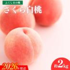 fu.... налог Fukushima город Fukushima. ..[ Sakura белый персик ] примерно 2kg[2026 год отправка предшествующий предварительный заказ ]No.1517