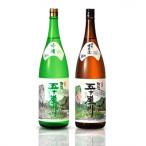 ふるさと納税 三条市 越後五十嵐川(1,800ml)2本セット 吟醸酒 特別本醸造 [福顔酒造]【020P022】